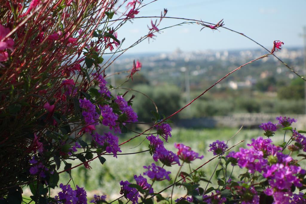 Masseria Serralta Локоротондо Экстерьер фото